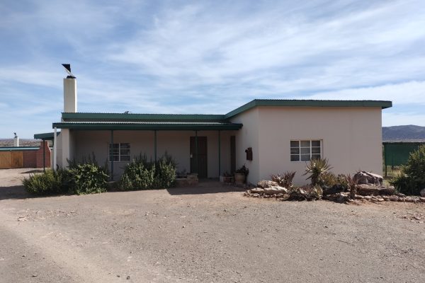 PHOTO-2025-02-19-11-15-55 (9)